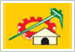 TDP Flag